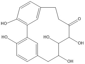 Carpinontriol B